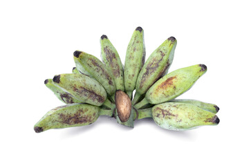 Bunch of raw Musa Silver Bluggoe bananas The Thai name is Kluai Hak Mook isolate on white background.