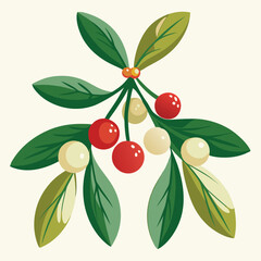 mistletoe christmas red berries vector illustration