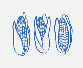 Hand-drawn corn Illustration Set. Line art, ink, minimalist style. Vector illustration.
