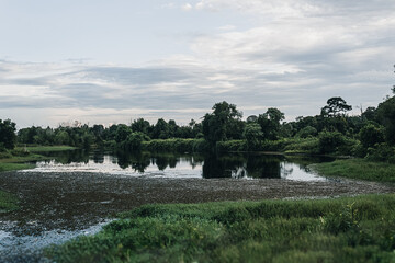 Beautiful colorful summer spring natural landscape with a lake surrounded by green foliage of trees in during sunset or sunrise