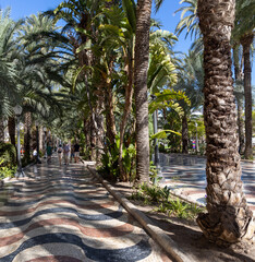 walk among the trees