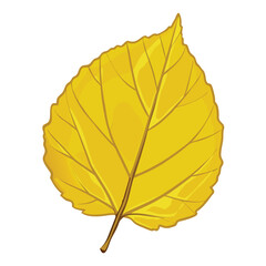 Vector Cartoon Illustration Autumn Fallen Yellow Leaf of Hazel Trees Illustration