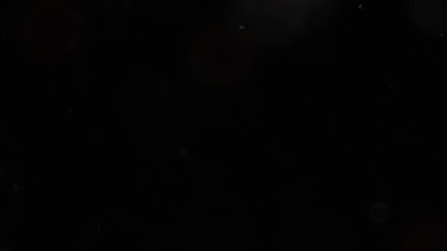 Methods of study of Protozoa, Algae and bacteria under the microscope in the biology laboratory.