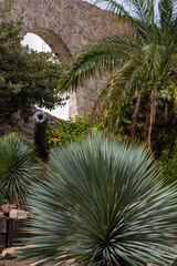 defense between trees and flowers