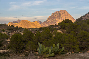 mountains in the evening sun