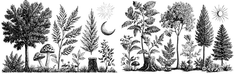 Forest trees and plants collection. Hand drawn illustration with a simple touch of cuteness.