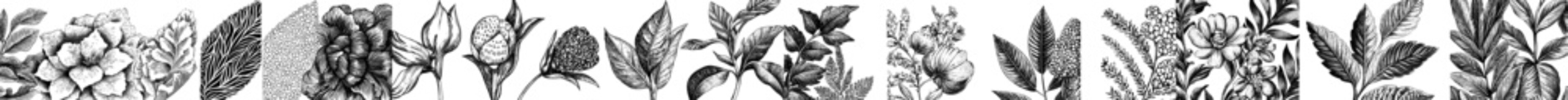 Naklejka premium Stylish background with handdrawn berries, flowers, abstract shapes. Ideal for fabrics, textiles.