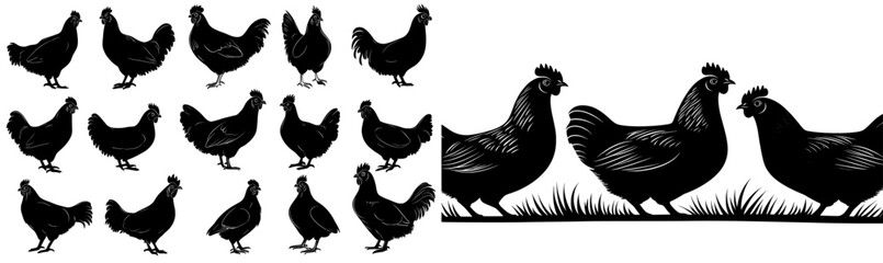 A mix of chicken silhouettes with EPS modern chicken clipart