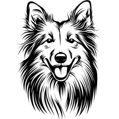 Naklejka premium Shetland Sheepdog (Sheltie) Silhouette in Black and White - Vintage Retro Style