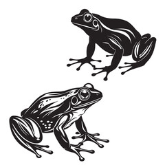 Black and white frog illustration, side view