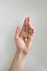 Sprouted apple seed in hand