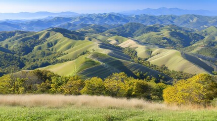 Fototapeta premium A panoramic view of rolling green hills and mountains in the distance, with a foreground of lush green grass and trees.