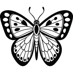 Common Wood Nymph butterfly vector illustrations on a white background.