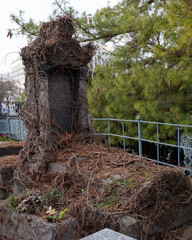 Climbing plants during winter, taking over various elements. Shot in Village and Graveyard areas.