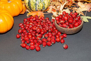 Red rosehip berries and pumpkins on a black background.