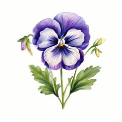 the AI Image Generator, Pansies isolated on transparent