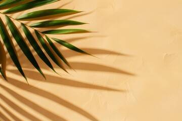 Obraz premium Soft shadows of palm leaves stretch across a pale sandy backdrop, creating an atmosphere of tranquility and warmth, perfect for summer relaxation and dreaming of vacations.