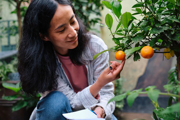 Smiling gardener examining oranges grown on tree in garden