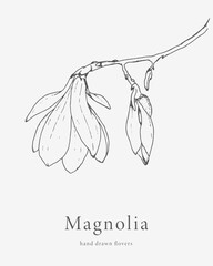 Luxury flower and logo. Trendy botanical element. Hand drawn line leaves branches and blooming. Wedding elegant wildflower for invitation save the date card. Vector