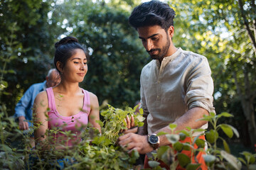 People working in community garden planting herbs at neighbourhood project