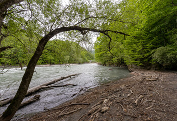 nature park , spring mood, a walk along the riverbed with an overview of the stone riverbed and...