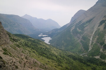 swiftcurrent pass trail from mant glacier hotel to the loop at Glacier national park, Montana, USA.