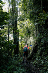 hiker in the woods