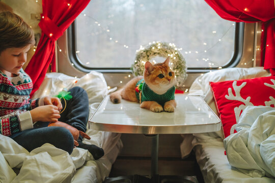 Innocent boy and cat in train decorated for Christmas