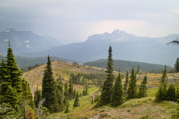 Obraz premium swiftcurrent pass trail from mant glacier hotel to the loop at Glacier national park, Montana, USA.