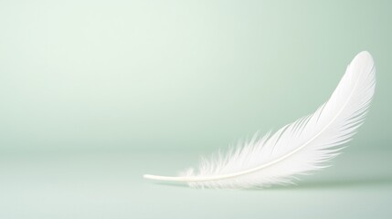 Obraz premium A delicate white feather rests on a soft, mint green background, creating a serene and calming aesthetic for various uses.