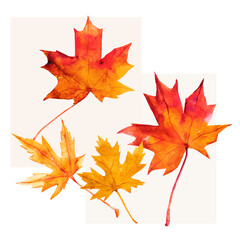 Autumn Leaves Pattern. Motives on white and color background.
