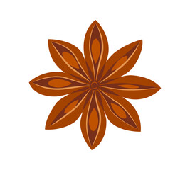 Star anise isolated on white background. Aromatic spice in flat style. Fragrant organic seeds, culinary condiments