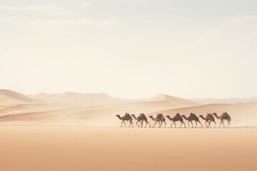 Camel desert outdoors nature.