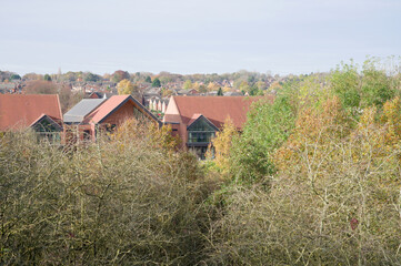 Red rooftops hidden in trees
