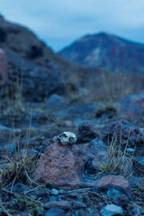 ４月を迎える阿蘇山の風景