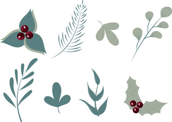Set of decorative vector winter floral elements. Christmas and new year design kit