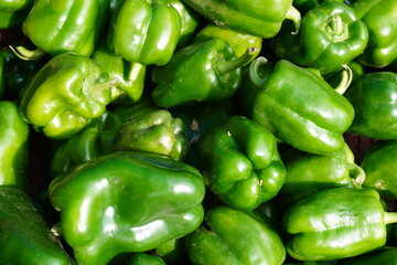 Fresh green capsicums in the market in close up 