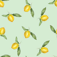 Seamless pattern with watercolor illustration of Lemon or Lime. Hand painted lemon branche with green leaves on white isolated background for juice label or icon.