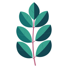 eucalyptus leaf vector art for botanical and nature designs