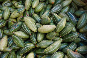 The fresh pointed gourd in the vegetable market 