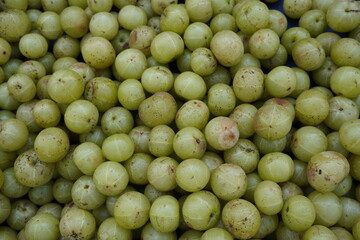Fresh Amla ready for sell in the market