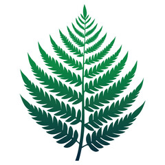 Obraz premium tropical green fern leaf vector illustration for natural plant designs