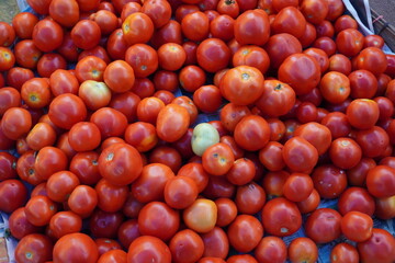 Fresh tomatoes in the vegetable store