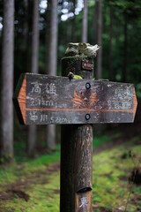 高尾から清滝川沿いを歩く