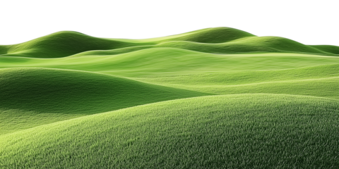 Grassy Golf Course Isolated on Transparent Background PNG
