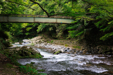 高尾から清滝川沿いを歩く