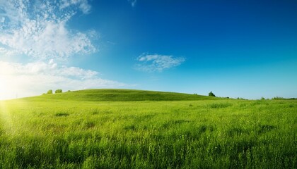 Obraz premium 透明なブルーの空、緑の草原、太陽光が温かく照らすシンプルな風景。エコでサステイナブルな未来をテーマにしたデザインに最適で、自然との調和を感じさせる背景素材です。 