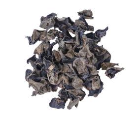 black fungus or ear mushroom isolated on white background