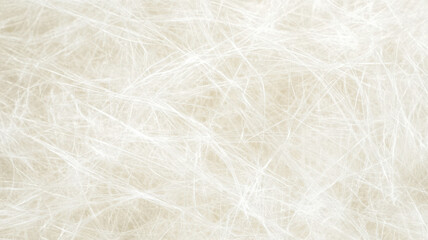 Obraz premium Textured Paper - Handmade Fiber Surface