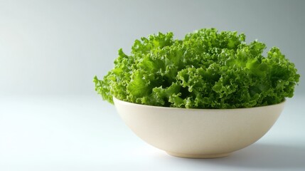 Fototapeta premium Minimalist shot of a fresh green salad in a white bowl, clean background, vibrant yet simple, healthy eating concept
